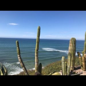 Meet your Posher, Candice